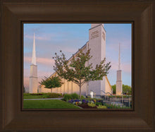 Load image into Gallery viewer, Boise Detail