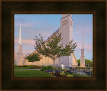 Load image into Gallery viewer, Boise Detail