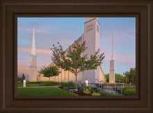 Load image into Gallery viewer, Boise Detail