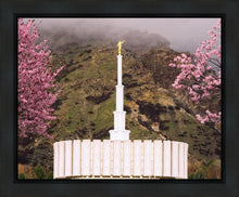 Load image into Gallery viewer, Provo Oncoming Storm