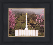 Load image into Gallery viewer, Provo Oncoming Storm