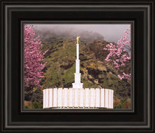 Load image into Gallery viewer, Provo Oncoming Storm