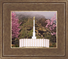 Load image into Gallery viewer, Provo Oncoming Storm
