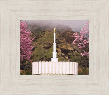Load image into Gallery viewer, Provo Oncoming Storm