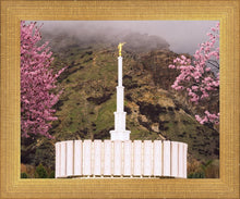 Load image into Gallery viewer, Provo Oncoming Storm