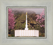 Load image into Gallery viewer, Provo Oncoming Storm