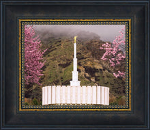 Load image into Gallery viewer, Provo Oncoming Storm