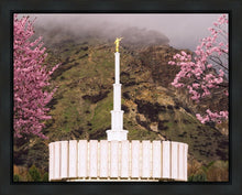 Load image into Gallery viewer, Provo Oncoming Storm
