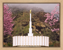 Load image into Gallery viewer, Provo Oncoming Storm