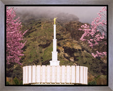 Load image into Gallery viewer, Provo Oncoming Storm