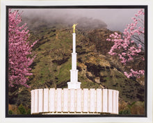 Load image into Gallery viewer, Provo Oncoming Storm