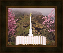 Load image into Gallery viewer, Provo Oncoming Storm