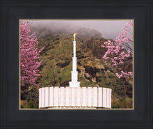 Load image into Gallery viewer, Provo Oncoming Storm