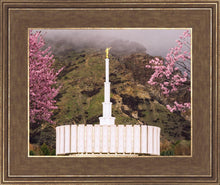 Load image into Gallery viewer, Provo Oncoming Storm