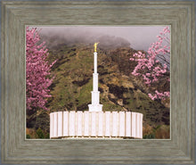 Load image into Gallery viewer, Provo Oncoming Storm