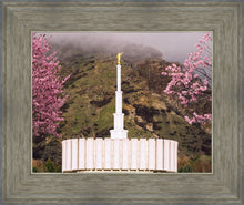 Load image into Gallery viewer, Provo Oncoming Storm
