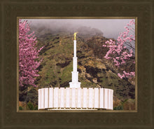 Load image into Gallery viewer, Provo Oncoming Storm