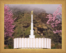 Load image into Gallery viewer, Provo Oncoming Storm
