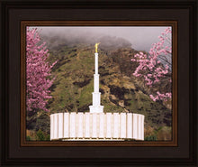 Load image into Gallery viewer, Provo Oncoming Storm