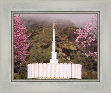 Load image into Gallery viewer, Provo Oncoming Storm