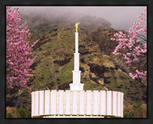 Load image into Gallery viewer, Provo Oncoming Storm