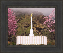Load image into Gallery viewer, Provo Oncoming Storm