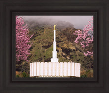 Load image into Gallery viewer, Provo Oncoming Storm