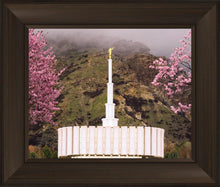 Load image into Gallery viewer, Provo Oncoming Storm