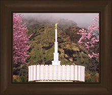 Load image into Gallery viewer, Provo Oncoming Storm