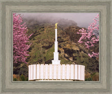 Load image into Gallery viewer, Provo Oncoming Storm