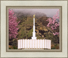 Load image into Gallery viewer, Provo Oncoming Storm