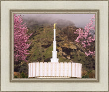 Load image into Gallery viewer, Provo Oncoming Storm