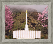 Load image into Gallery viewer, Provo Oncoming Storm