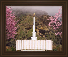 Load image into Gallery viewer, Provo Oncoming Storm