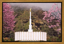 Load image into Gallery viewer, Provo Oncoming Storm
