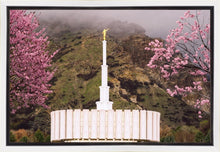 Load image into Gallery viewer, Provo Oncoming Storm