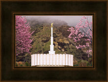 Load image into Gallery viewer, Provo Oncoming Storm