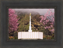 Load image into Gallery viewer, Provo Oncoming Storm