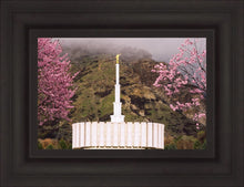 Load image into Gallery viewer, Provo Oncoming Storm