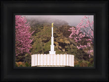 Load image into Gallery viewer, Provo Oncoming Storm