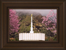 Load image into Gallery viewer, Provo Oncoming Storm