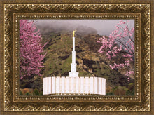 Load image into Gallery viewer, Provo Oncoming Storm