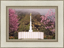 Load image into Gallery viewer, Provo Oncoming Storm