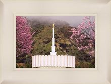 Load image into Gallery viewer, Provo Oncoming Storm