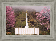 Load image into Gallery viewer, Provo Oncoming Storm