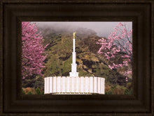 Load image into Gallery viewer, Provo Oncoming Storm