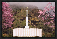 Load image into Gallery viewer, Provo Oncoming Storm