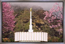 Load image into Gallery viewer, Provo Oncoming Storm