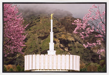 Load image into Gallery viewer, Provo Oncoming Storm