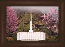 Load image into Gallery viewer, Provo Oncoming Storm